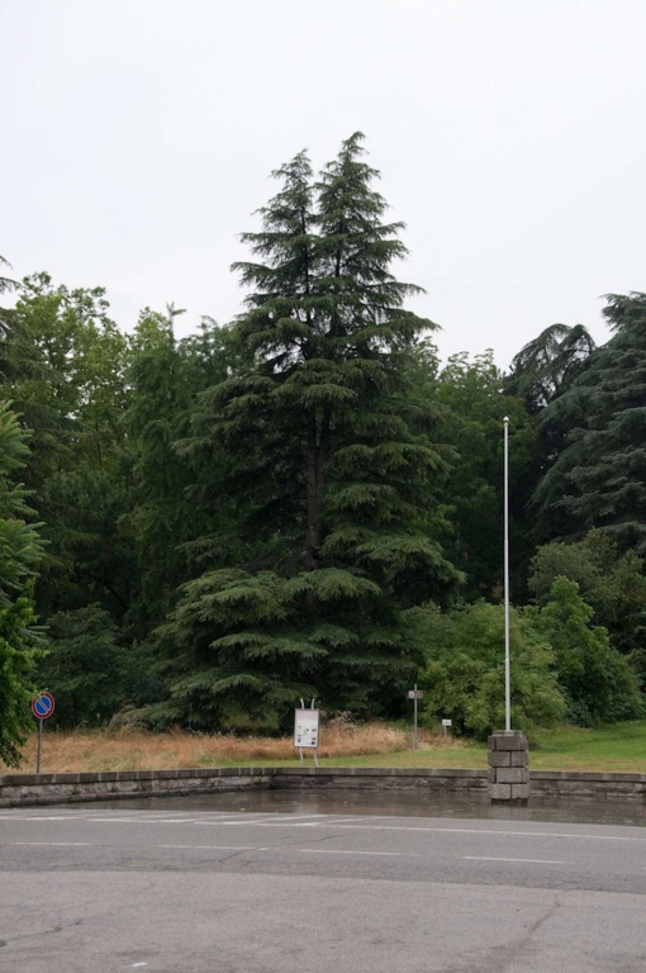 _SCA7593